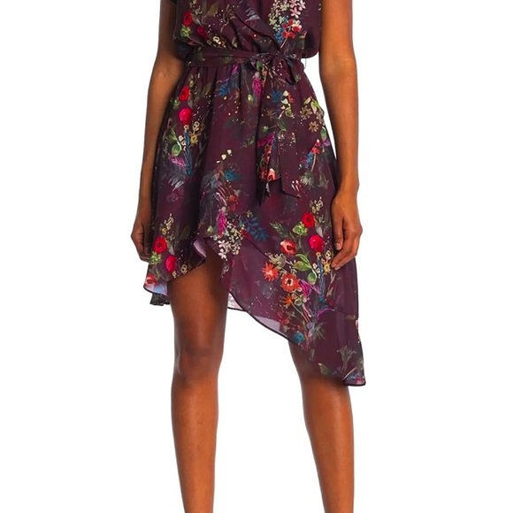 Parker Alexia Midi Dress NWT - Picture 3 of 5